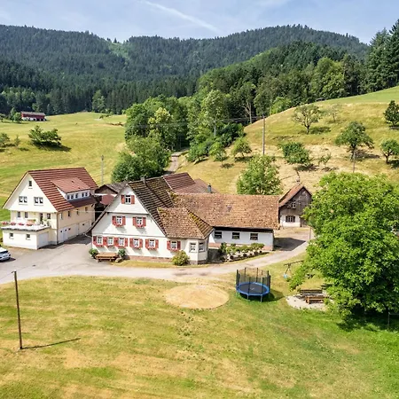 Apartamento Brujosenhof Oppenau